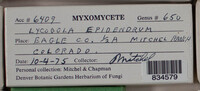 Image Associated With the Occurence